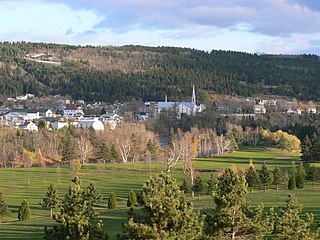 <span class="mw-page-title-main">Saint-Pacôme</span> Municipality in Quebec, Canada