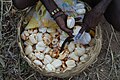 Vendor packing the seeds in a road stall, Visakhapatnam