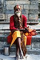 Sadhu