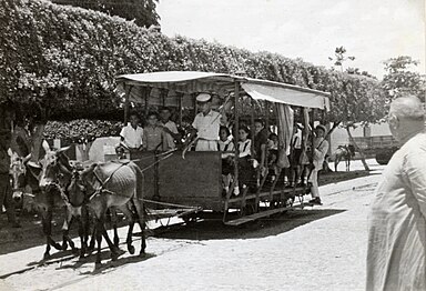 Bonde de tração animal em Limoeiro, em Pernambuco, 1951