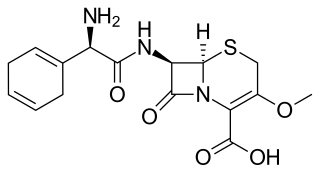 <span class="mw-page-title-main">Cefroxadine</span> Chemical compound