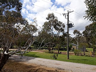 <span class="mw-page-title-main">Gelantipy</span> Town in Victoria, Australia