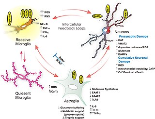 <span class="mw-page-title-main">Neuroimmune system</span>