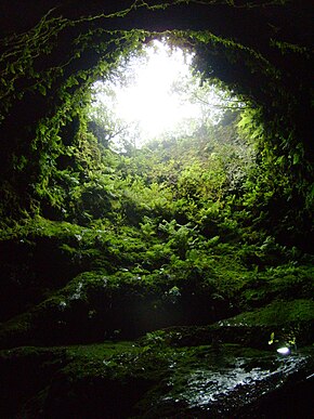 Algar do Carvão