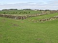 Der Graben vor dem Südwall des Kastells