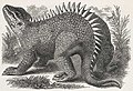 Hylaeosaurus