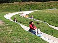 Luge d'été à la Schlucht