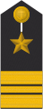 Schulterklappe Dienstanzug Marineuniformträger (Truppendienst oder militärfachlicher Dienst)