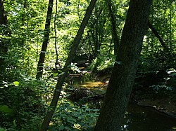 Image of Muddy Run