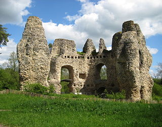 <span class="mw-page-title-main">Odiham Castle</span> Ruined castle in Hampshire, UK