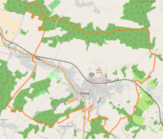 Mapa konturowa Olszyny, blisko centrum na lewo znajduje się punkt z opisem „Pałac w Olszynie”