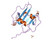 PDB 1qg7 EBI.jpg