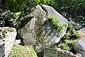 天目山棲雲寺 地蔵菩薩磨崖仏（2017年10月9日撮影）