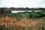 Moorbrookwiese