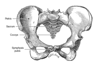 <span class="mw-page-title-main">Symphysis pubis dysfunction</span> Medical condition