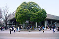 東京文化会館 Tokyo Bunka Kaikan