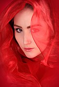 Veiled in Red.jpg