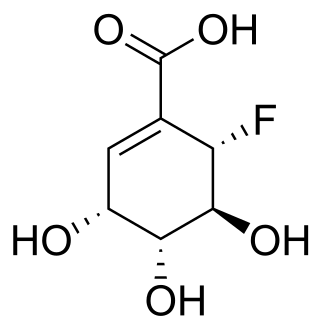 (6<i>S</i>)-6-Fluoroshikimic acid Chemical compound