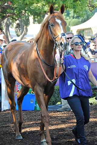 <span class="mw-page-title-main">Ulysses (horse)</span> Irish-bred Thoroughbred racehorse