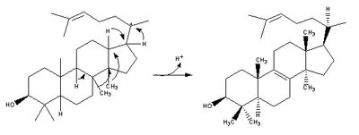 Cholesterol-Synthesis-Reaction13.png