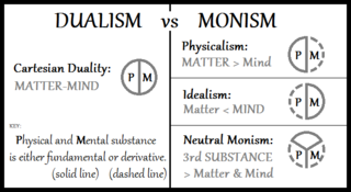 <span class="mw-page-title-main">Double-aspect theory</span> Theory in the philosophy of mind