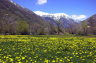 <span class="mw-page-title-main">Cerdanya</span> Natural and historical region in Western Europe