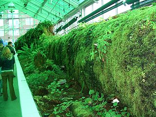 <i>Neukom Vivarium</i> Art installation by Mark Dion in Seattle, Washington, U.S.