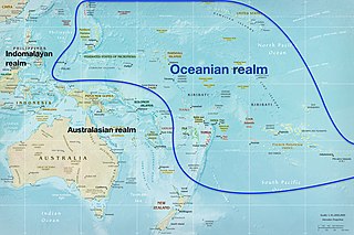 <span class="mw-page-title-main">Oceanian realm</span> Terrestrial biogeographic realm