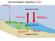 Diagrama do ciclo do oxíxeno