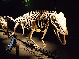 <i>Sillosuchus</i> Extinct genus of reptiles