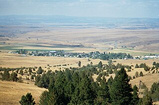 <span class="mw-page-title-main">Ukiah, Oregon</span> City in Oregon, United States