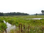 Boven-Regge ten zuidwesten van Diepenheim