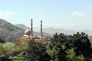 <span class="mw-page-title-main">Afghan cuisine</span> Culinary traditions of Afghanistan