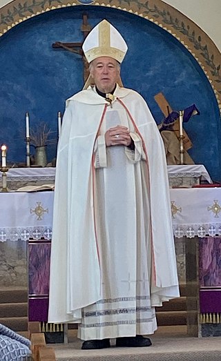 <span class="mw-page-title-main">Robert W. McElroy</span> American prelate of the Catholic Church (born 1954)