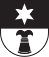 Coat of arms of Sumvitg