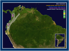 Mapa de distribución de Caenolestes sp.