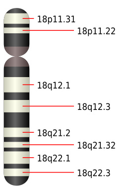 Chromosoom 18