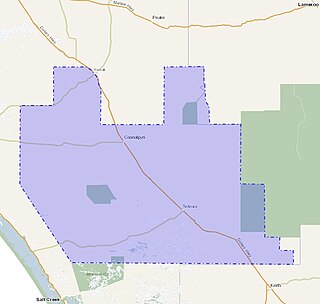 <span class="mw-page-title-main">District Council of Coonalpyn Downs</span> Local government area in South Australia