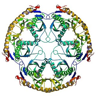 RNase PH