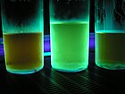Harmala-Alkaloide: Fluoreszenz unter UV-Licht