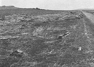 <span class="mw-page-title-main">Matlin, Utah</span> Ghost town in Utah, United States