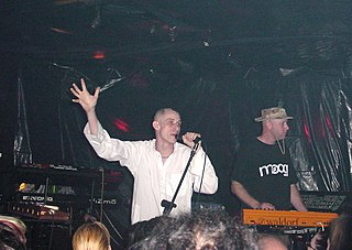 <span class="mw-page-title-main">Mentallo and the Fixer</span> Project name of Gary and Dwayne Dassings band (1988–1999)