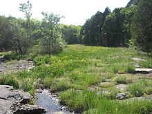 Nashville Basin fen Nashville Basin fen.jpg