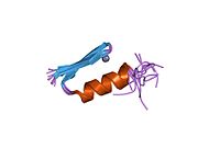 5znf: ALTERNATING ZINC FINGERS IN THE HUMAN MALE ASSOCIATED PROTEIN ZFY: 2D NMR STRUCTURE OF AN EVEN FINGER AND IMPLICATIONS FOR ""JUMPING-LINKER"" DNA RECOGNITION