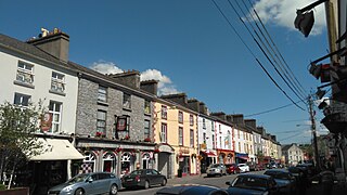 <span class="mw-page-title-main">Ballinasloe</span> Town in County Galway, Ireland