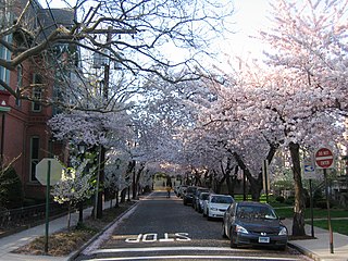 Wooster Square Historic District Historic district in Connecticut, United States