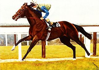 <span class="mw-page-title-main">Assert (horse)</span> Irish-bred Thoroughbred racehorse (1979–1995)