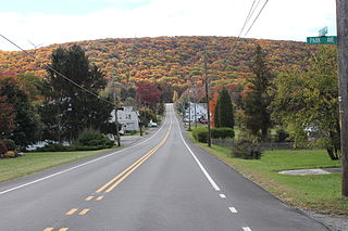 <span class="mw-page-title-main">Brandonville, Pennsylvania</span> CDP in Pennsylvania, United States