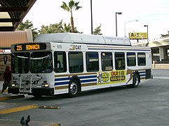 CAT New Flyer C40LF, 2nd variant of second "stripes" livery (2001–2008)