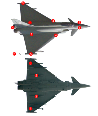 <span class="mw-page-title-main">Praetorian DASS</span> Military airplane defensive hardware and software